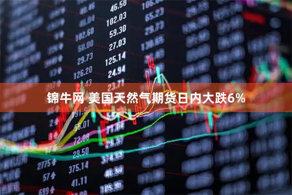 锦牛网 美国天然气期货日内大跌6%