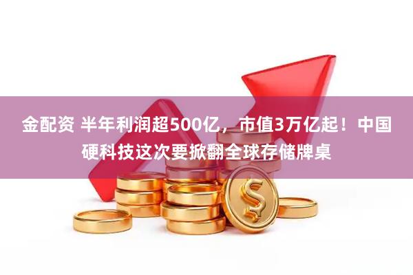 金配资 半年利润超500亿，市值3万亿起！中国硬科技这次要掀翻全球存储牌桌