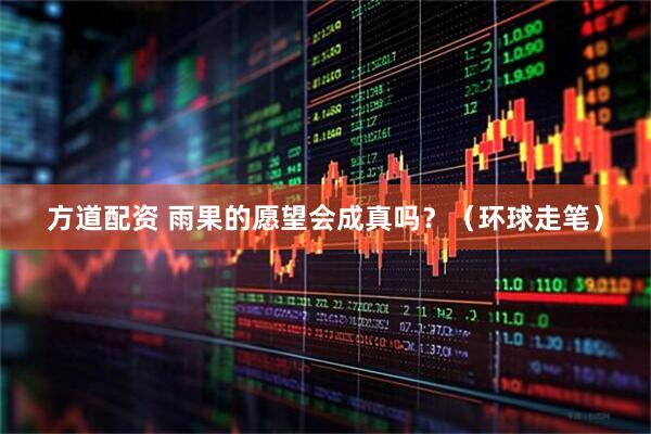 方道配资 雨果的愿望会成真吗?(环球走笔)