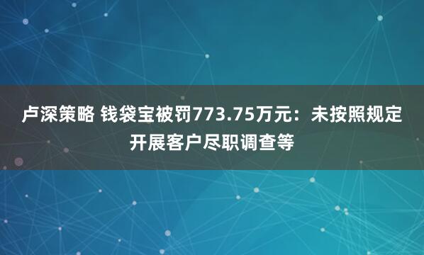 卢深策略 钱袋宝被罚773.75万元：未按照规定开展客户尽职调查等
